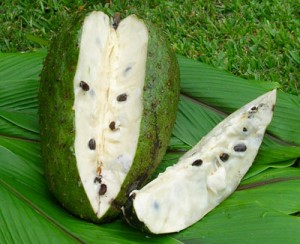 soursop fruit for ayurveda